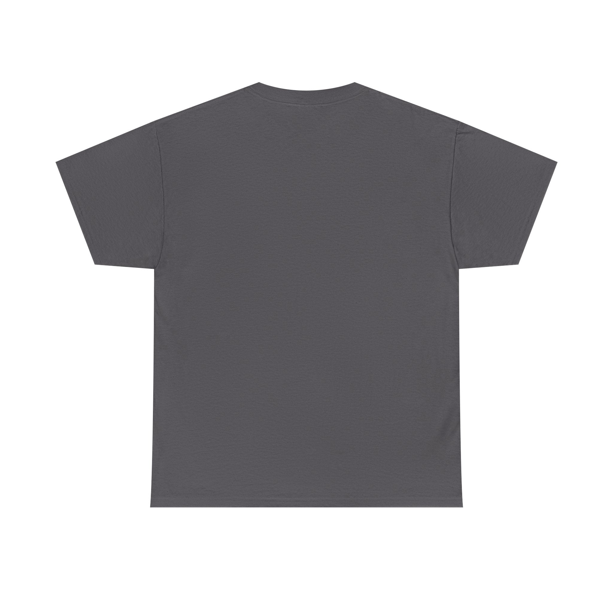 Phase Rugby Ball Tee — Christmas Lights Holiday Sports T-Shirt